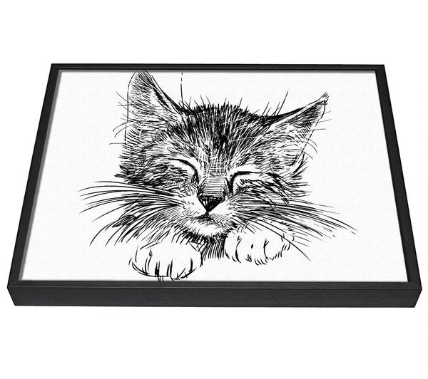 A picture of a Cute Kitten Face framed canvas print sold by Wallart-Direct.co.uk