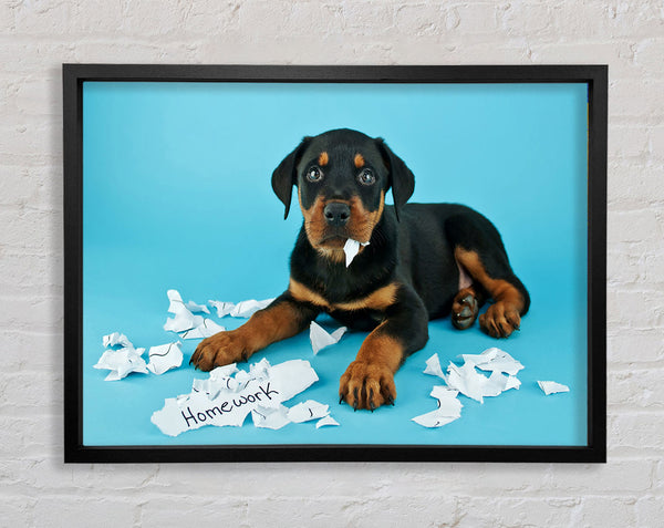 Naughty Rottweiler Puppy Dog