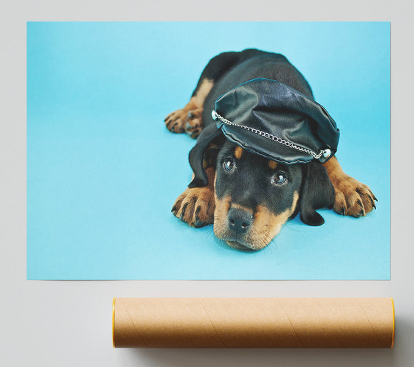 Rottweiler Puppy Dog Hat