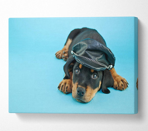 Rottweiler Puppy Dog Hat