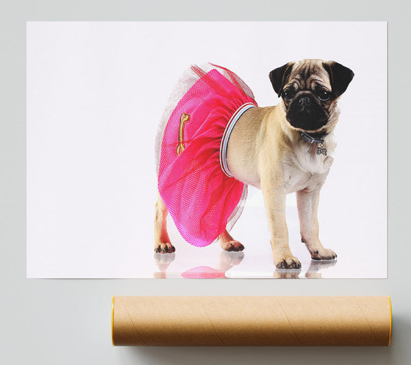 Pug Dog Tutu