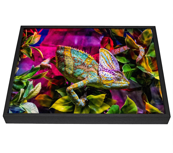 A picture of a Chameleon In The Pink framed canvas print sold by Wallart-Direct.co.uk