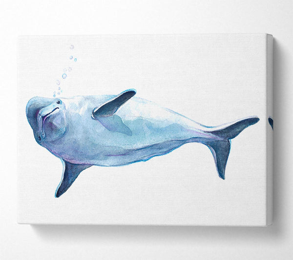 Dolphin Bubbles