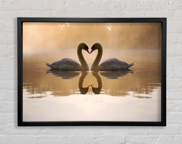 Swan Lake Love