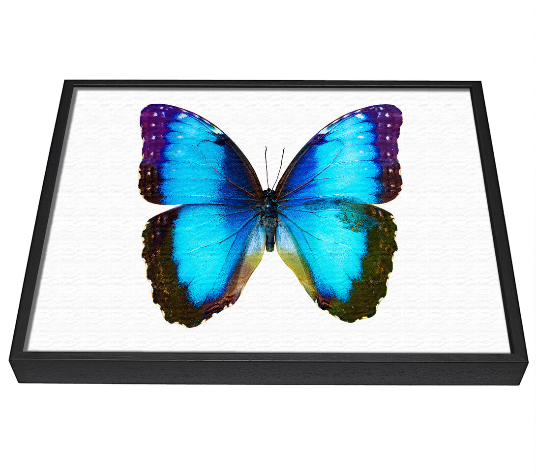 A picture of a Electric Butterfly framed canvas print sold by Wallart-Direct.co.uk