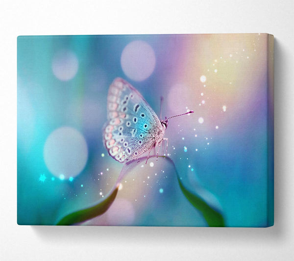 Butterfly Sparkle