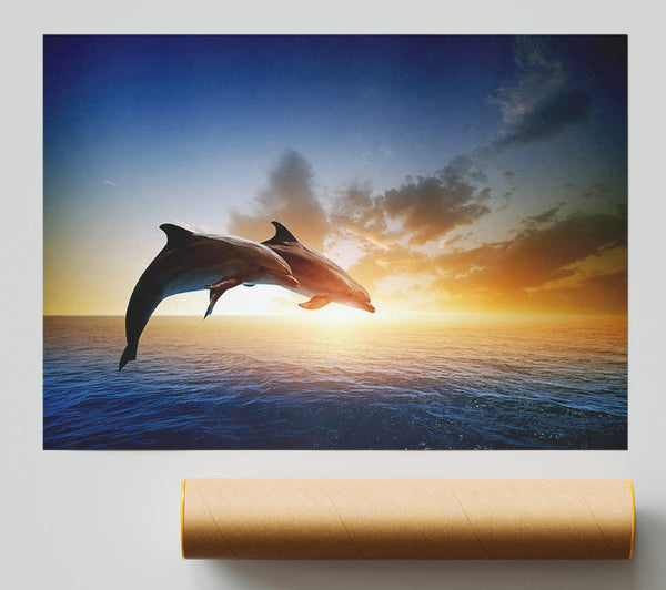 Jumping Sunset Dolphins