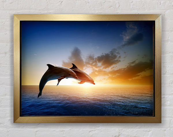 Jumping Sunset Dolphins