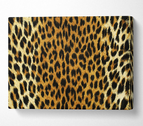 Leopard Skin