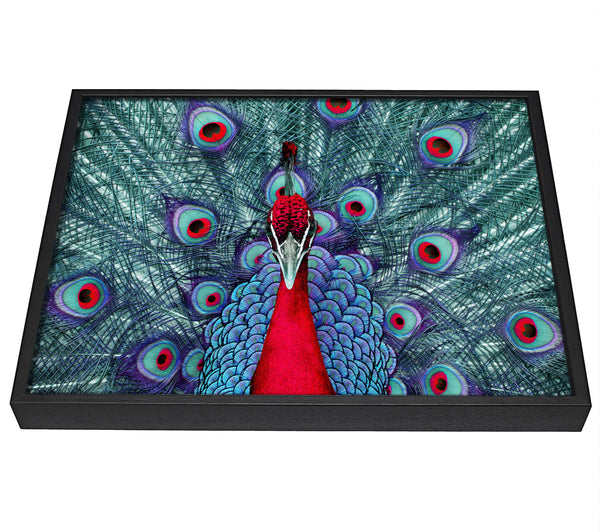 A picture of a Peacock Beauty framed canvas print sold by Wallart-Direct.co.uk