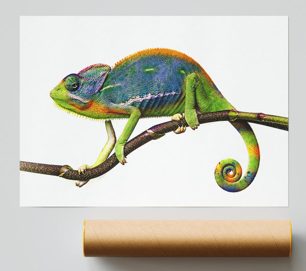 Chameleon Branch