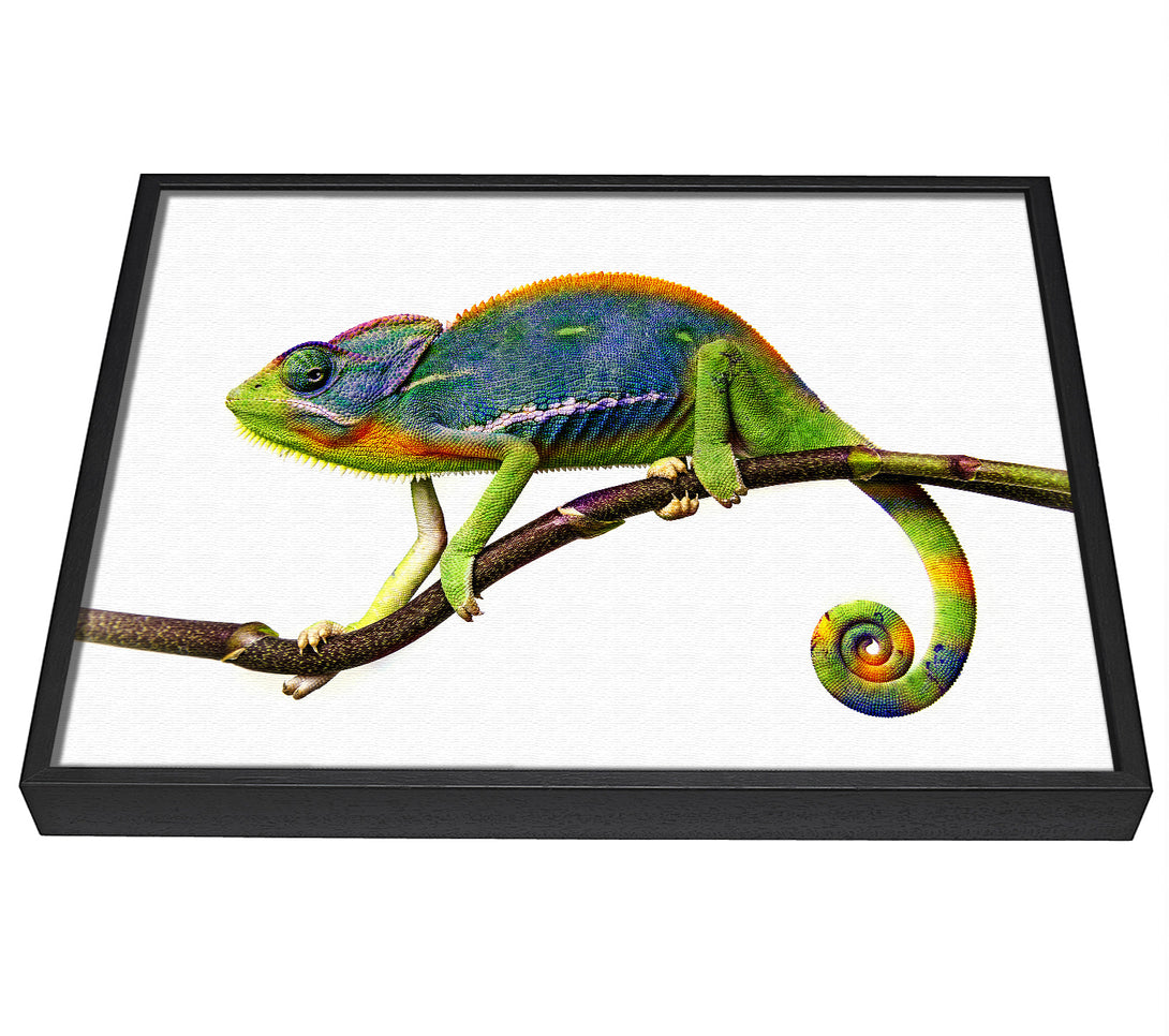 A picture of a Chameleon Branch framed canvas print sold by Wallart-Direct.co.uk