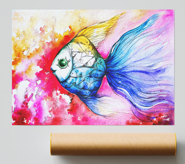 Multicoloured Fish