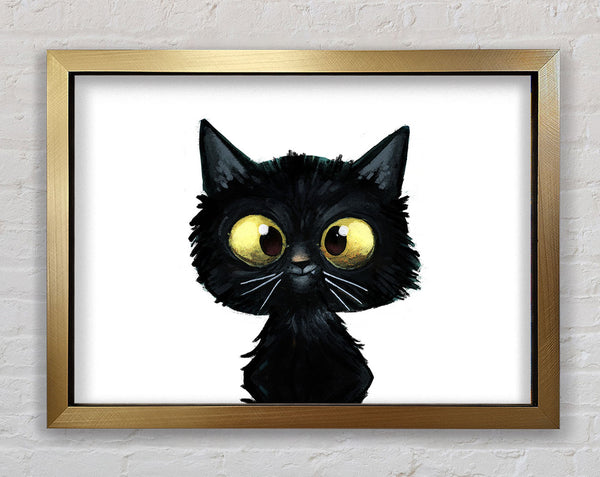 Funny Black Cat