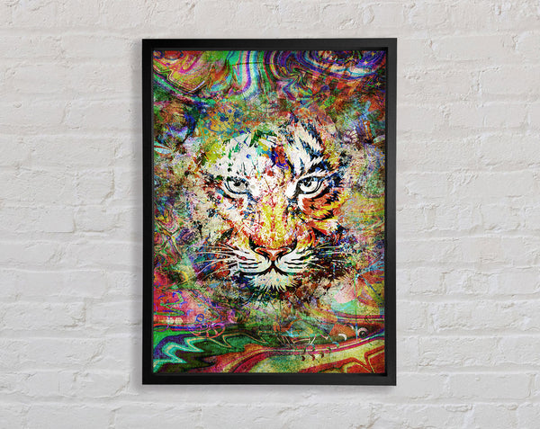 Rainbow Splash Tiger