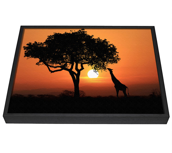 A picture of a Giraffe Safari Sunset framed canvas print sold by Wallart-Direct.co.uk