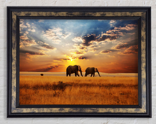 Elephant duo sunset