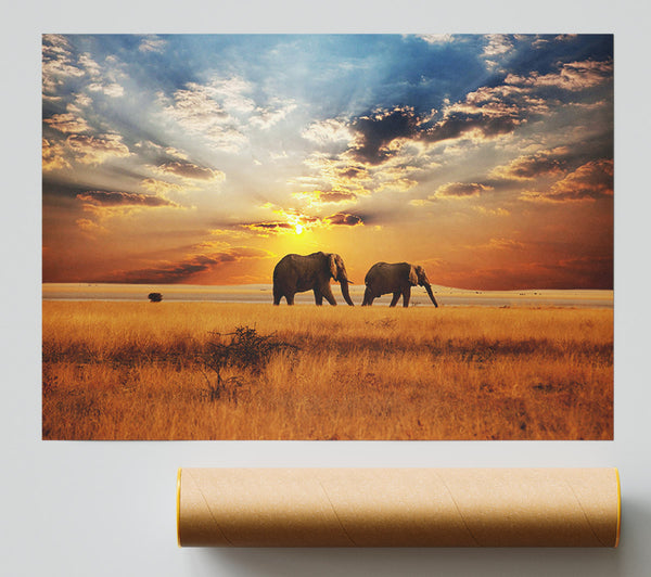 Elephant Duo Sunset