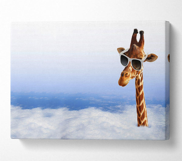 Giraffe Head In The Clouds