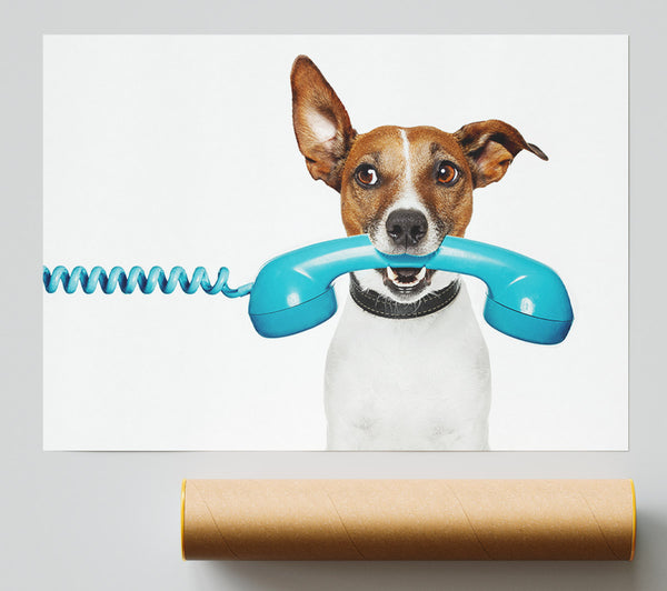 Terrier Dog Phone Call