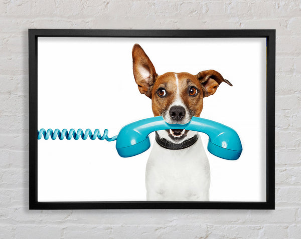 Terrier Dog Phone Call