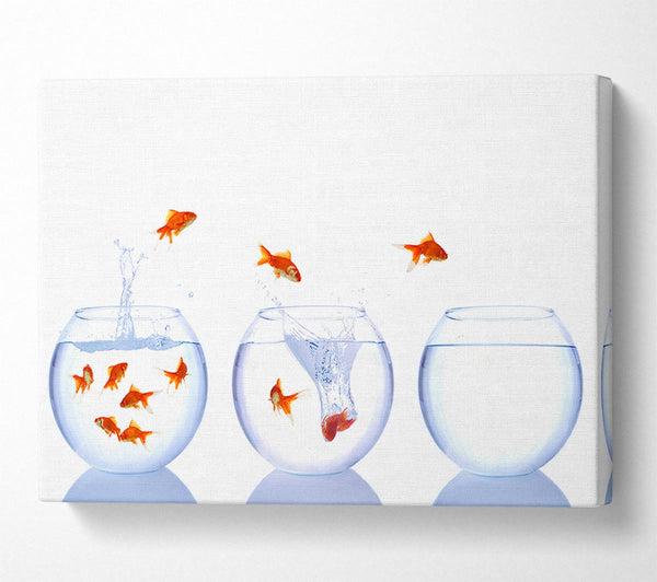 Jumping Goldfish Trio