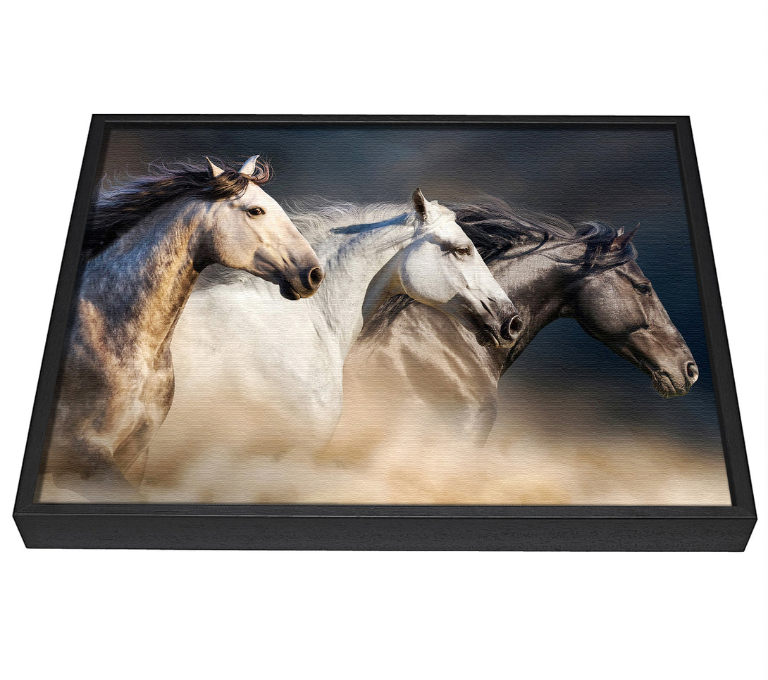 A picture of a Wild Horse Trio framed canvas print sold by Wallart-Direct.co.uk