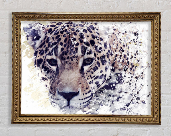 Leopard Splash