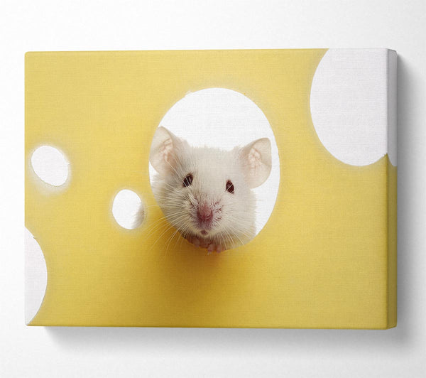 Cheesy Mouse