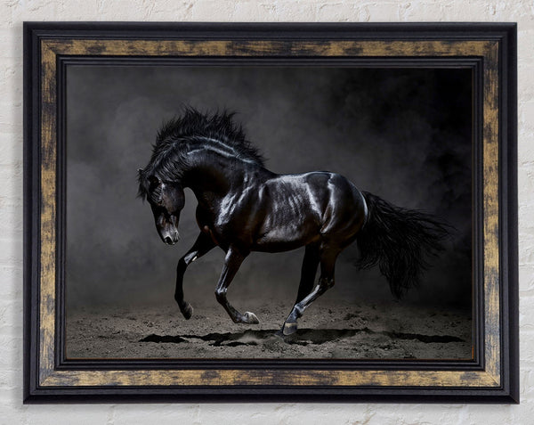 Black Beauty Horse