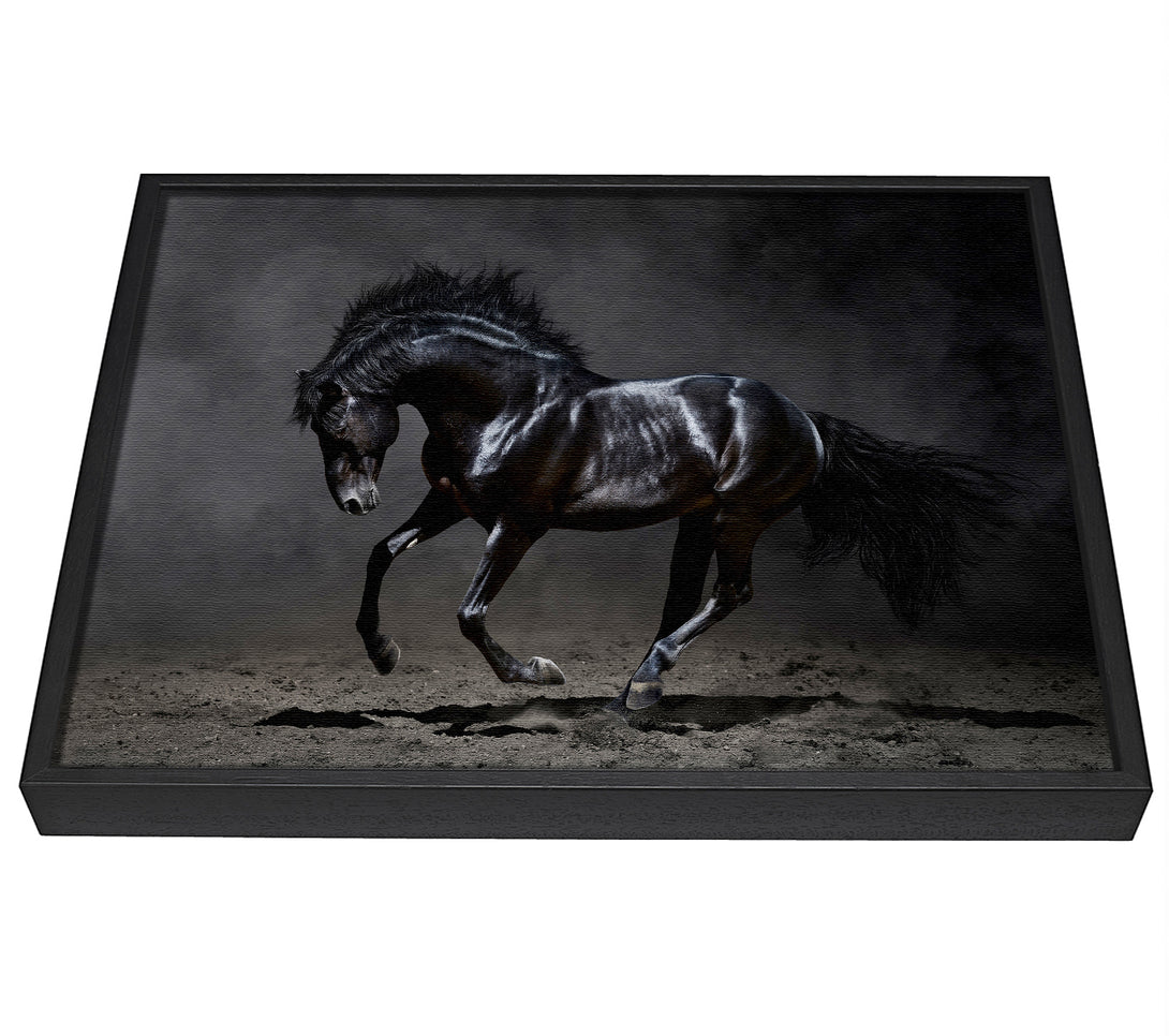 A picture of a Black Beauty Horse framed canvas print sold by Wallart-Direct.co.uk