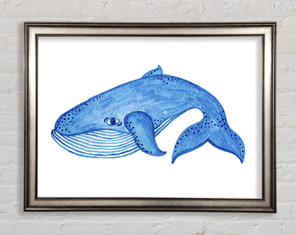 Blue Whale