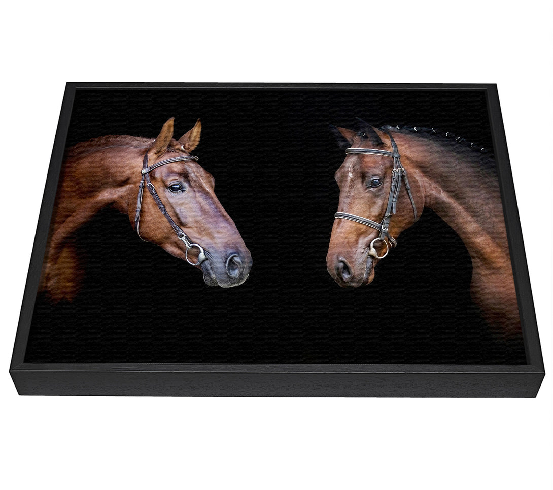 A picture of a Horse Duo framed canvas print sold by Wallart-Direct.co.uk