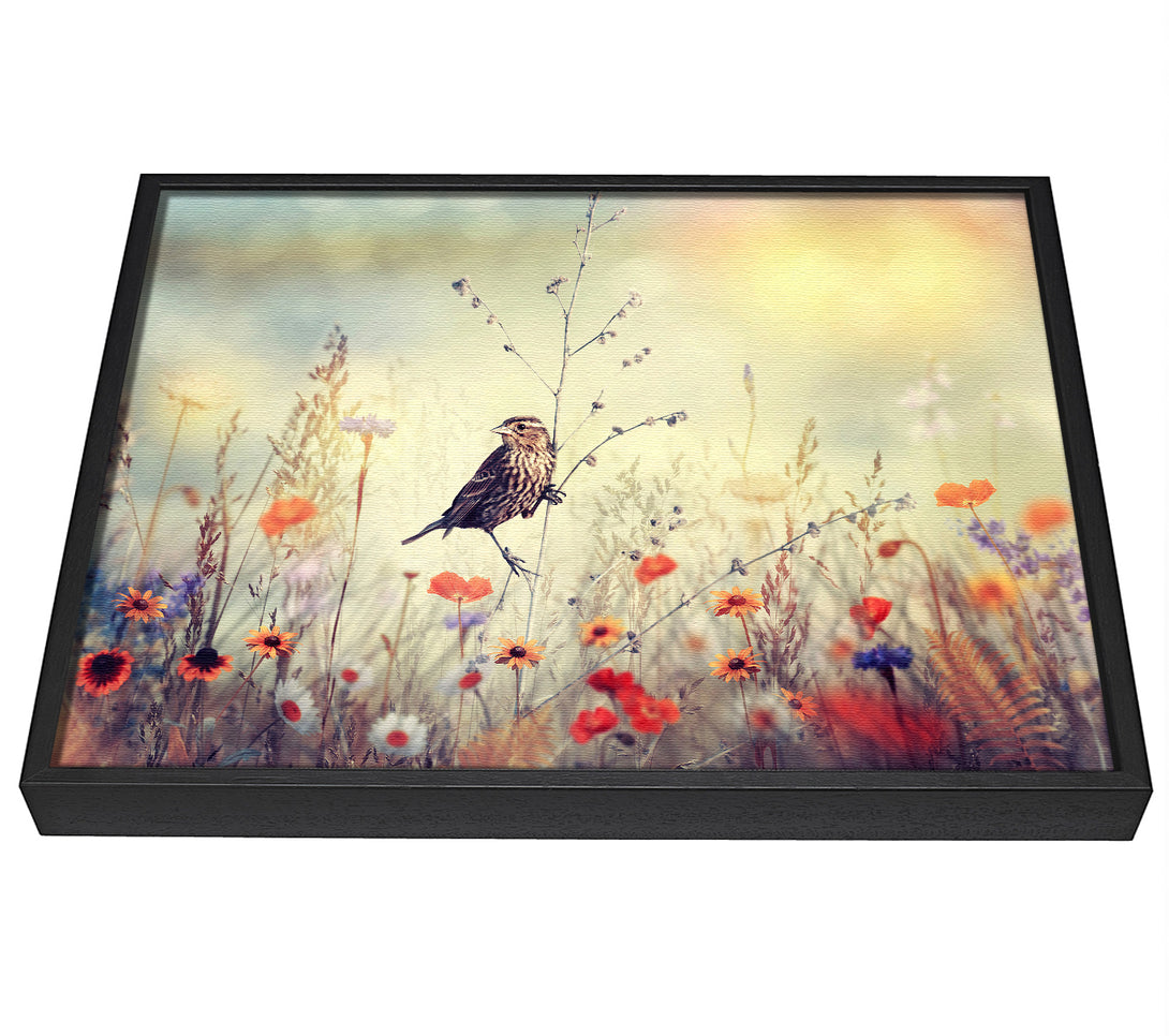 A picture of a Bird in Paradise framed canvas print sold by Wallart-Direct.co.uk