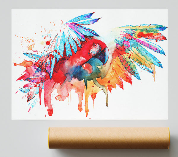 Colourful Parrot