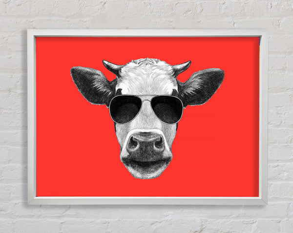 Mafia Cow