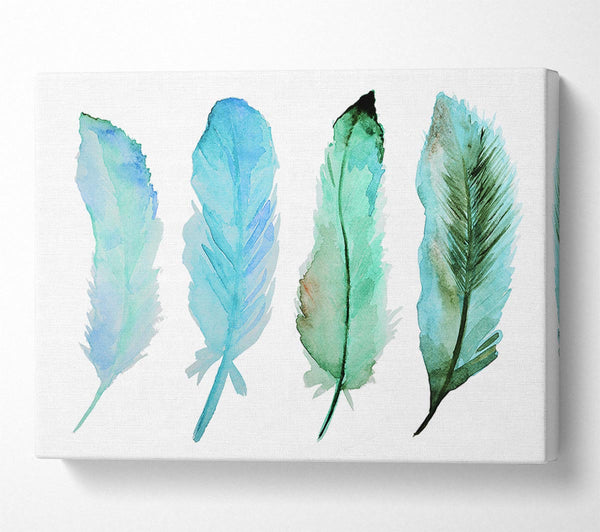 Green Blue Indian Feathers