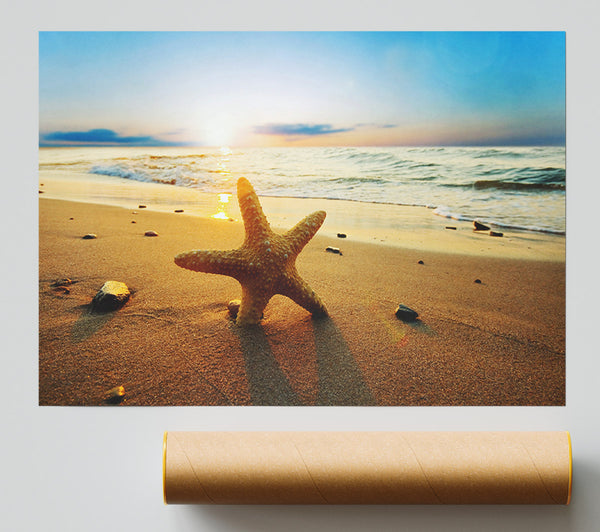 Starfish Sun Glow