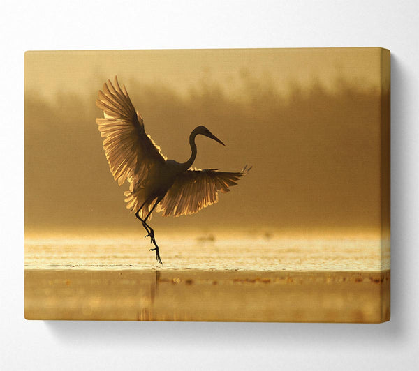 Dancing Sunset Heron