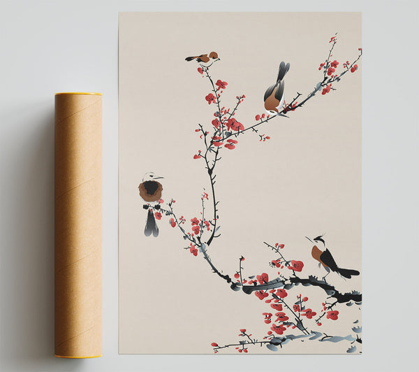 Chinese Cherry Blossom Birds