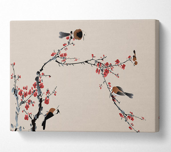 Chinese Cherry Blossom Birds