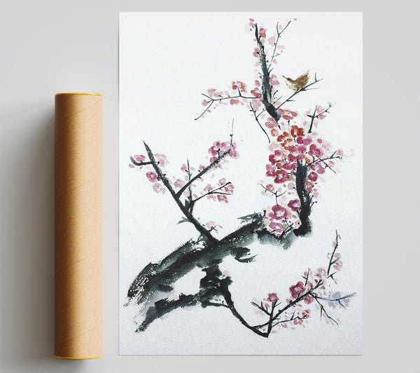 Chinese Cherry Blossom Pink