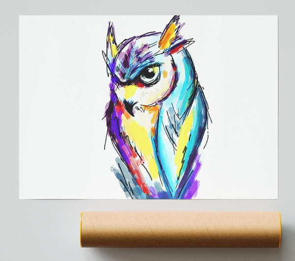 Rainbow Owl