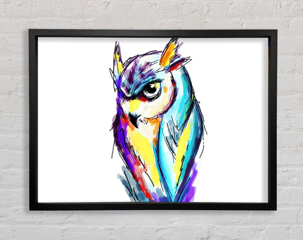 Rainbow Owl