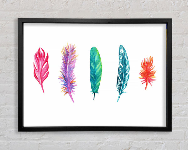 Red Indian Rainbow Feathers