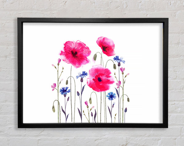 Pink Poppy Abstract