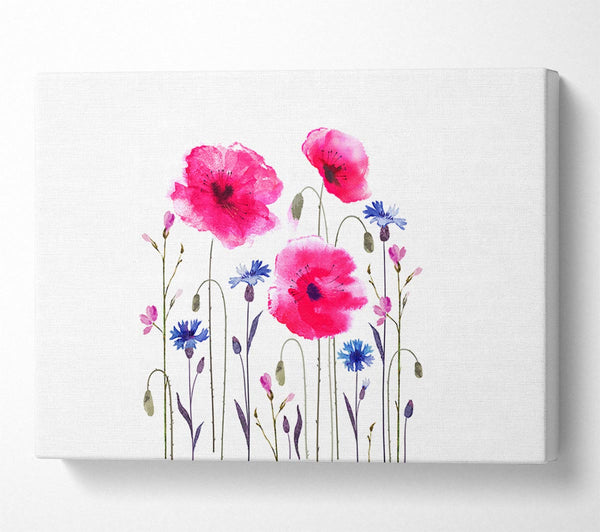 Pink Poppy Abstract