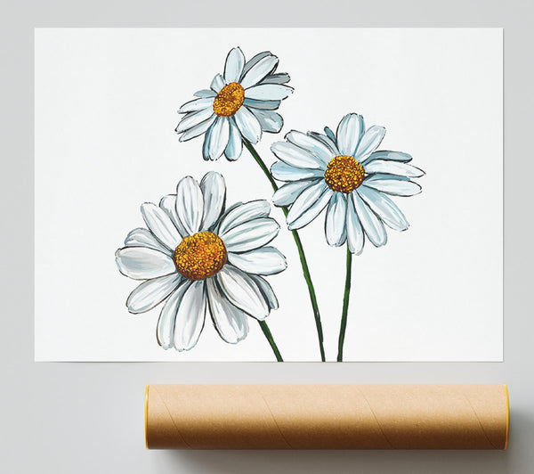 White Daisy Trio