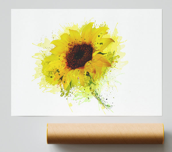 Sunflower Splash 1