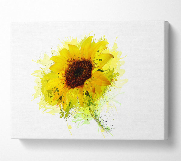 Sunflower Splash 1